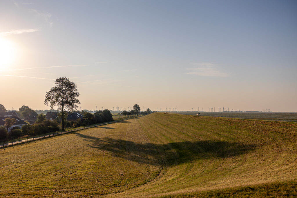 Friedrichskoog Sep 2024 Bildrechte Robert Hutzfeldt Pressebilder