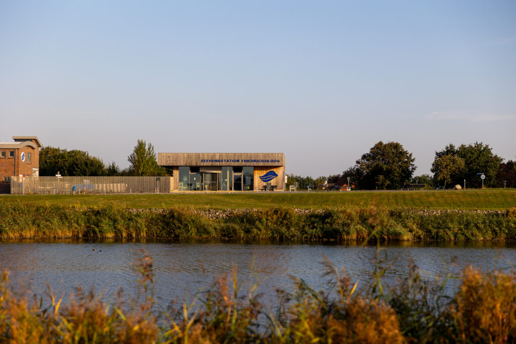 Friedrichskoog Sep 2024 Bildrechte Robert Hutzfeldt Pressebilder