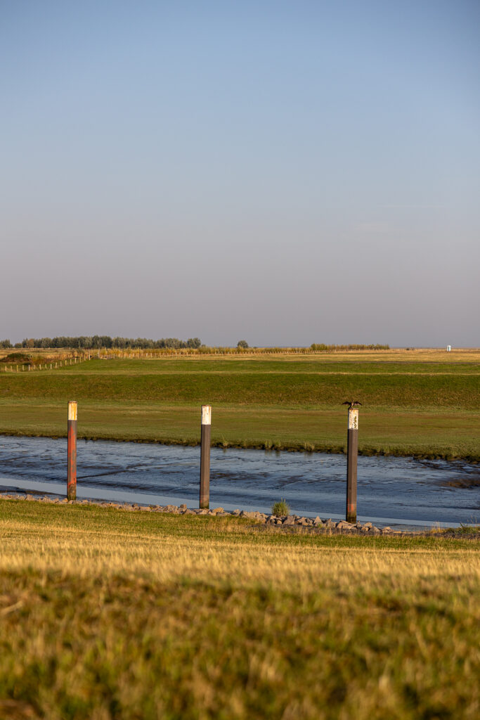 Friedrichskoog Sep 2024 Bildrechte Robert Hutzfeldt