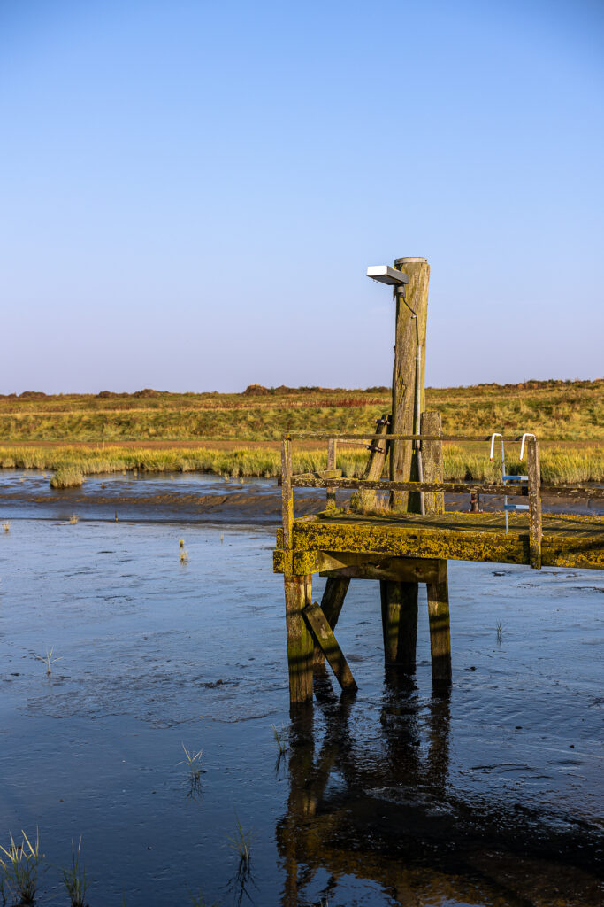 Friedrichskoog Sep 2024 Bildrechte Robert Hutzfeldt