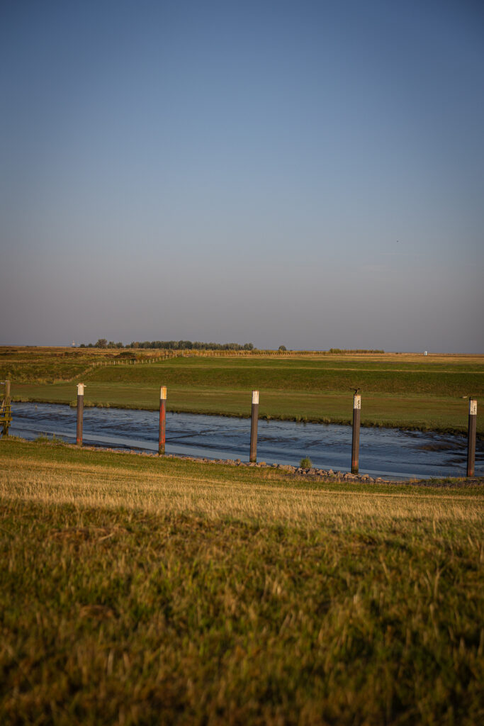 Friedrichskoog Sep 2024 Bildrechte Robert Hutzfeldt