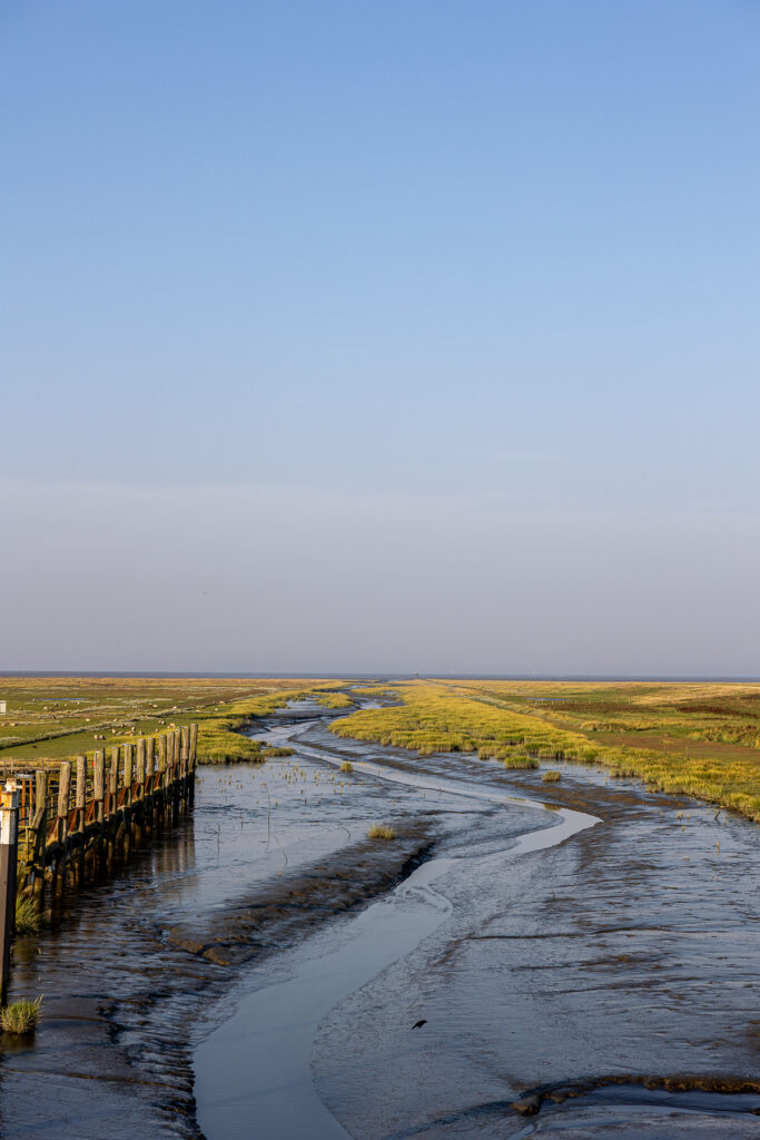 Friedrichskoog Sep 2024 Bildrechte Robert Hutzfeldt