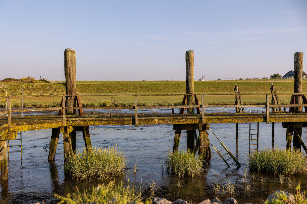 Friedrichskoog Sep 2024 Bildrechte Robert Hutzfeldt