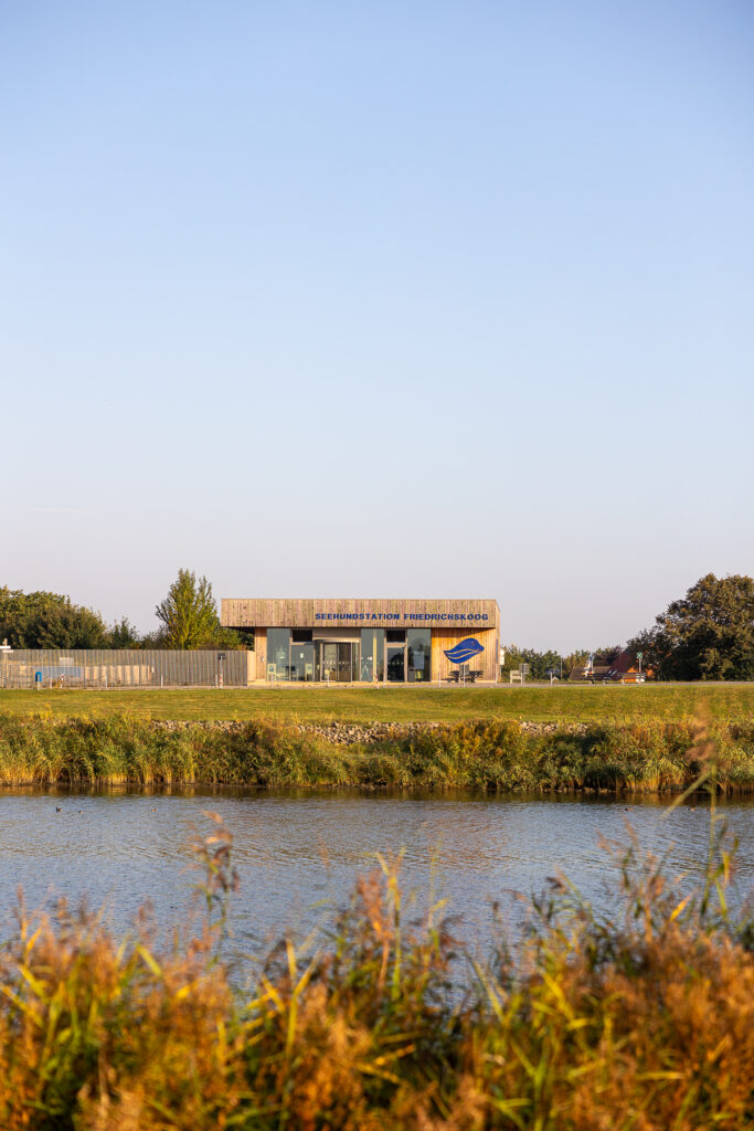 Friedrichskoog Sep 2024 Bildrechte Robert Hutzfeldt Pressebilder