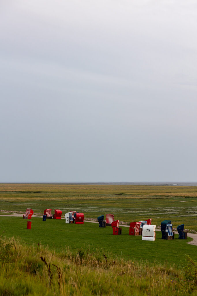 Friedrichskoog Sep 2024 Bildrechte Robert Hutzfeldt Pressebilder