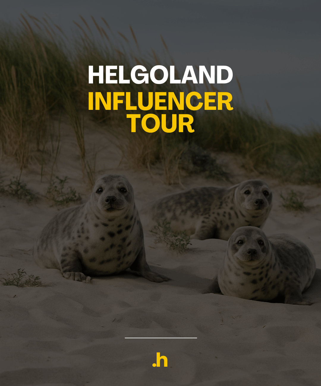 Helgoland Influencer Agentur Nordsee Marketing Tourismus Content Creator Hamburg